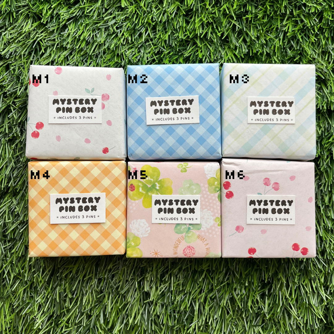 Mystery Pin Boxes